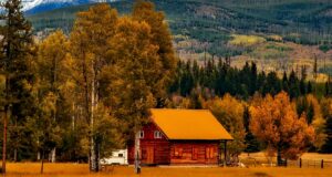 House in a remote location